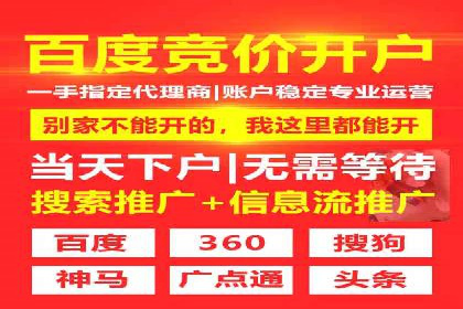 竞价推广实战技巧：成功案例分享会
